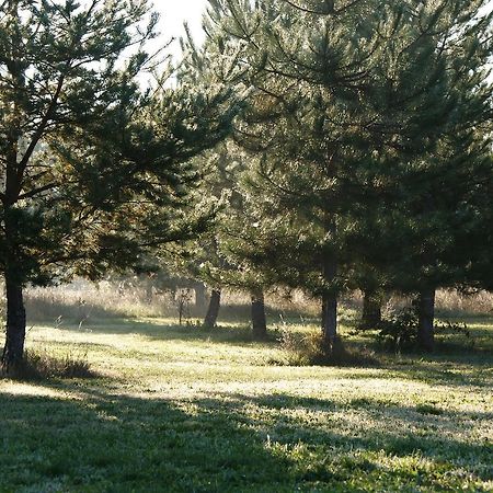 Chateau De Grenier Bed & Breakfast Saint-Leger  Bagian luar foto