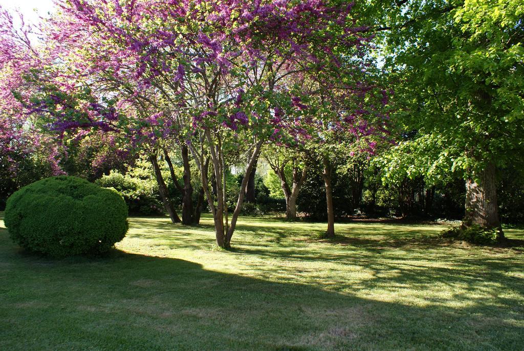 Chateau De Grenier Bed & Breakfast Saint-Leger  Bagian luar foto