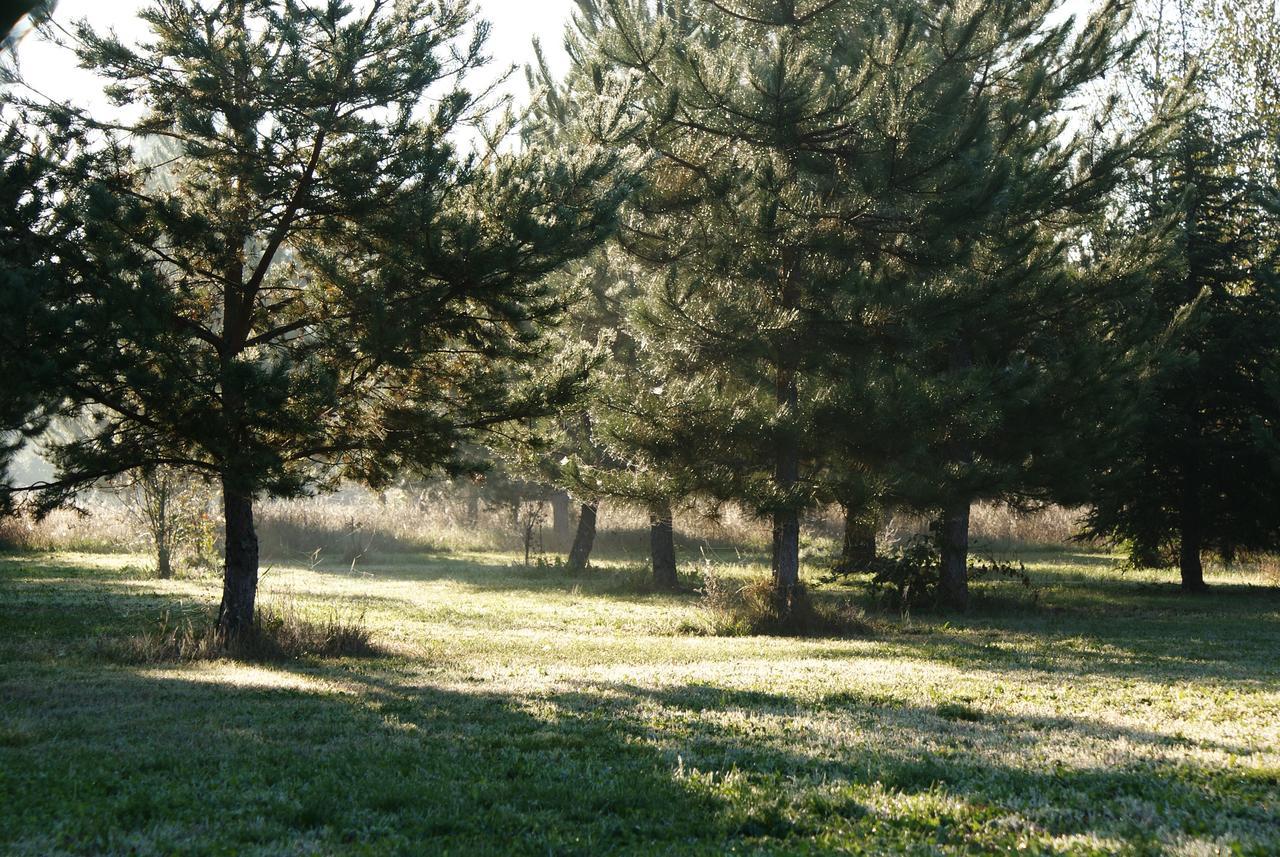 Chateau De Grenier Bed & Breakfast Saint-Leger  Bagian luar foto
