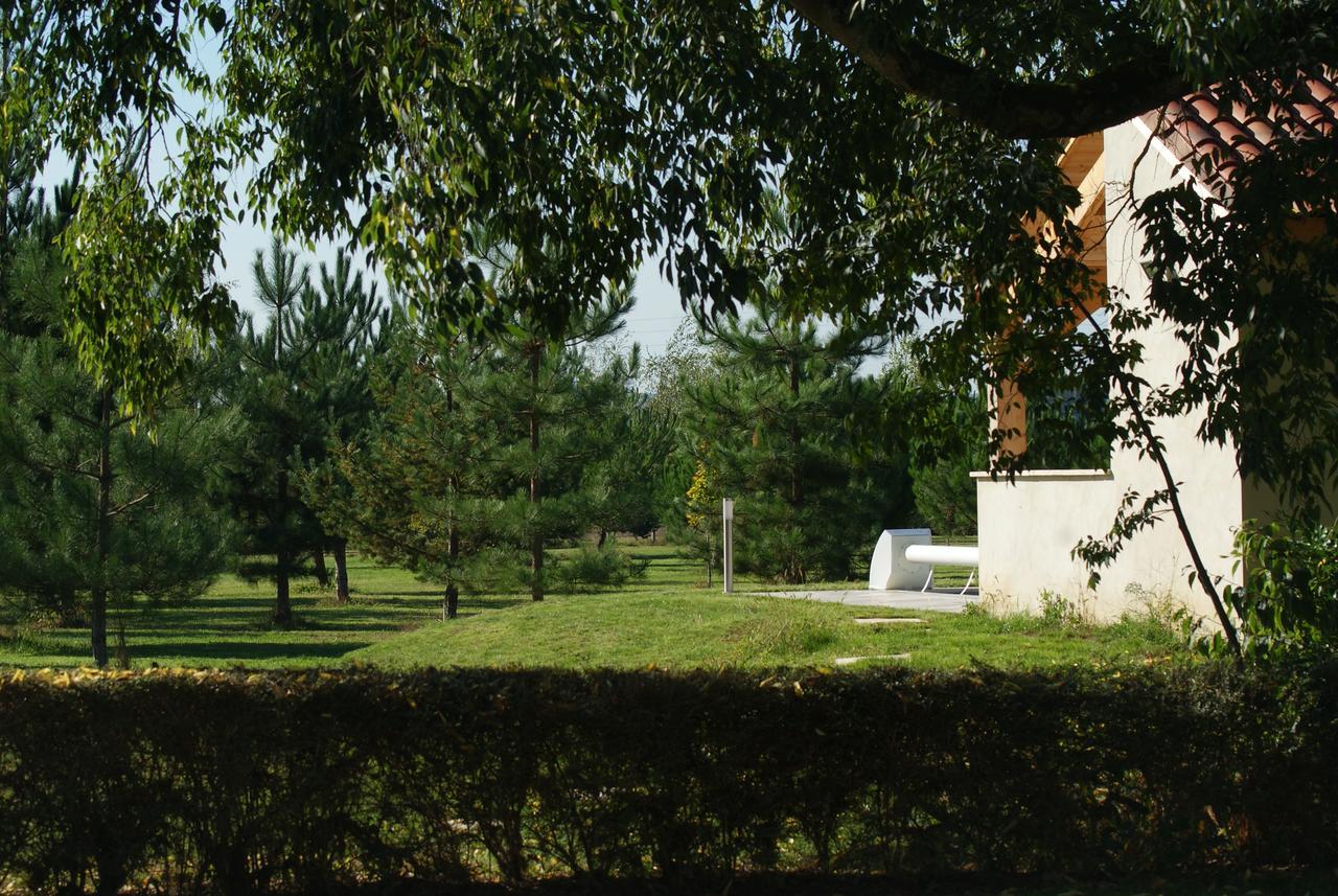 Chateau De Grenier Bed & Breakfast Saint-Leger  Bagian luar foto